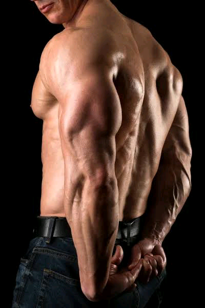 Tricep Workouts with Dumbbells pharmafoodhealth